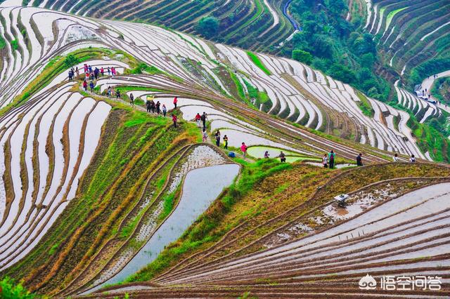 斑马总动员:七月底八月初去哪里适合全家旅游，有老人和小孩（3岁）