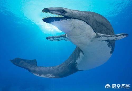 世界十大水怪，传说中几十米长的大海蛇，到底存不存在
