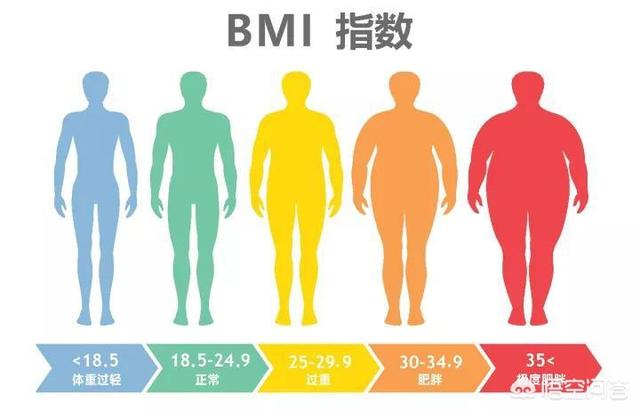 女性bmi多少是正常的，注意什么？插图36
