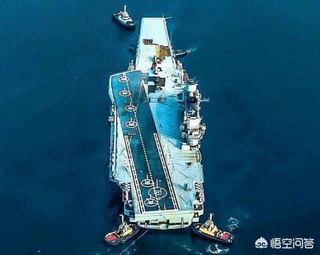 史德拉海牛的生存现状:俄罗斯为什么不找中国修航母？ 史德拉海牛图片