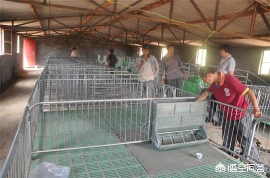 家庭养殖业:家庭养殖业什么最赚钱 我是一个农民，家里困难想办个小型养猪场，可是没有资金怎么办？