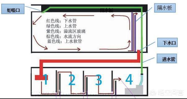 60cm鱼缸造景图片:60cm鱼缸造景图片大全 60cm的鱼缸该养什么？如何遮挡缸底水泵？