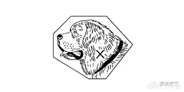 圣伯纳狗头印记图片:到底怎样才算是真正的金表？ 圣伯纳狗头印记