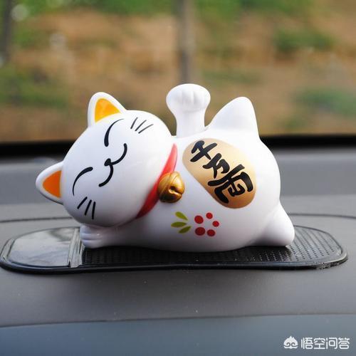 四川简州猫是招财猫吗:家里总是跑进来野猫，该怎么办？