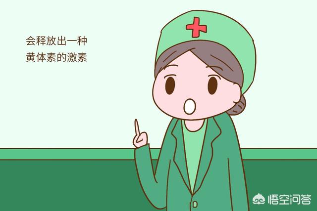 头条问答 备孕时 出现什么征兆 说明受精卵着床了 胖妞西西的回答 0赞