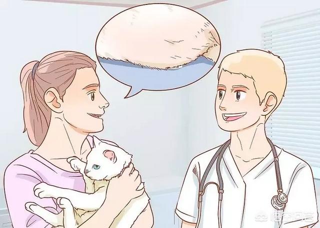 怎么判断猫有没有怀孕,怎么知道猫咪是不是有孩子了？