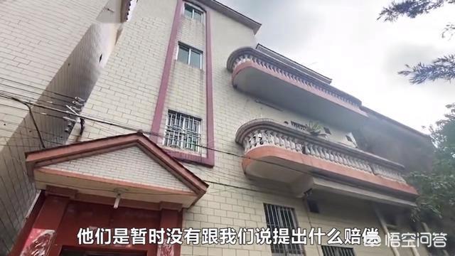 狗狗绊倒八旬老太相关新闻:广东88岁阿婆被狗绳绊倒身亡，你支持立法城市全面禁狗吗？