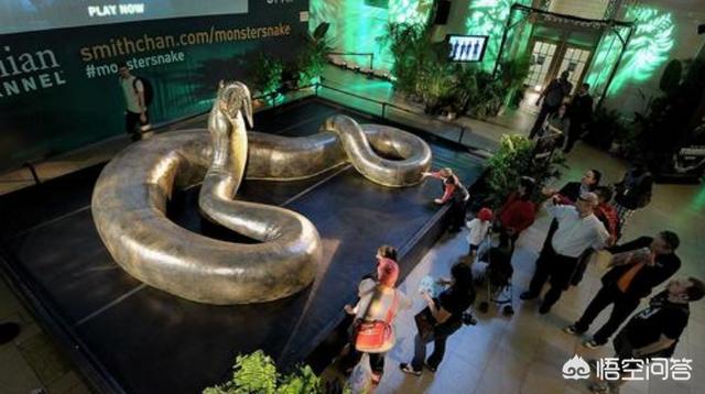 蛇 蟒 蚺 蛟，传说中几十米长的大海蛇，到底存不存在