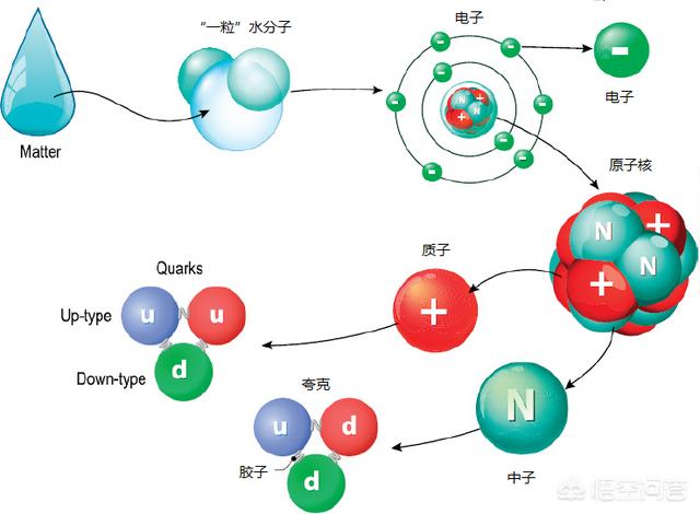 波子角蛙的寿命:4厘米左右的蝴蝶角蛙能冬眠吗 波子鱼要多久才能繁殖啊？我养好久了？