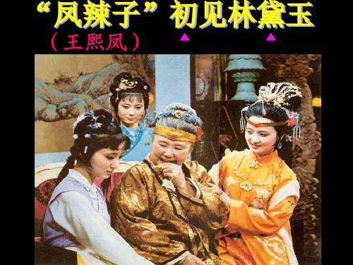 小斯比克斯鹦鹉图片:《红楼梦》中王熙凤明知王夫人心向着宝钗，为什么支持宝黛姻缘？