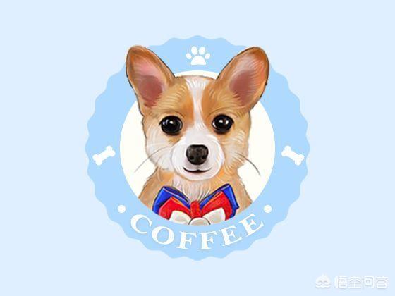宠物说app功能:宠物类APP主要有哪些功能？ 宠物交易app