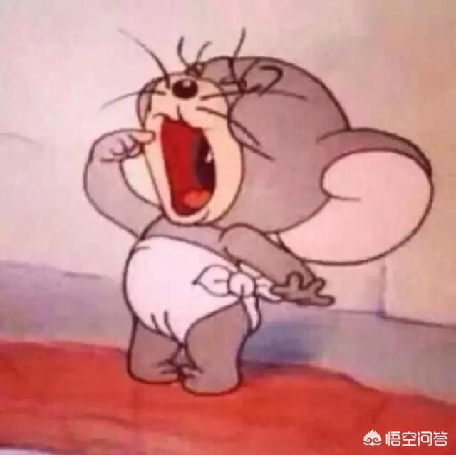 头条问答 - 《猫和老鼠》泰菲真实身份是什么?(13个回答)