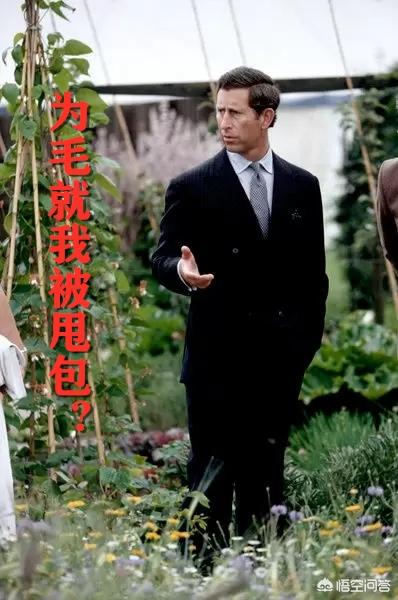 李一纯:我不知选那个名字好，请大师帮我分析一下，那一个更好