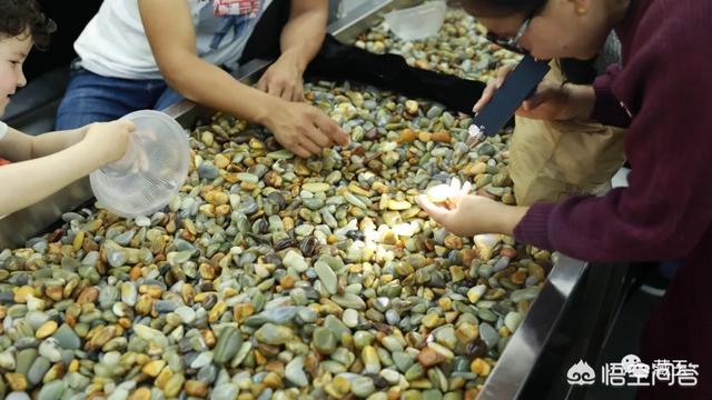 几百块钱的翡翠是真的吗,几百块钱的玉手串会是真的吗？