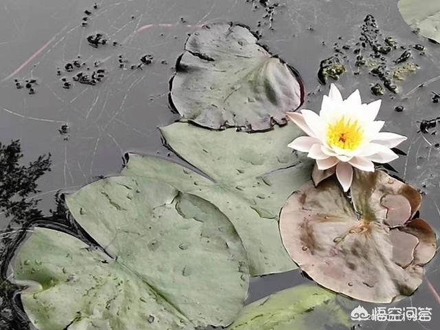 我被一个富婆严重骚扰了,有次开口说给我一百万,让我以后对她好就可以了,我该怎么办？