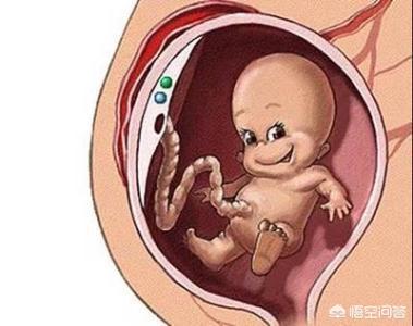 小宝宝在妈妈肚里倒着不难受吗，婴儿在妈妈肚子里脑袋朝下为什么不会脑充血？