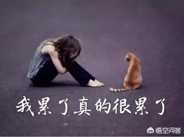 适合发<a href=https://maguai.com/list/256-0-0.html target=_blank class=infotextkey>朋友圈</a>的短句子伤感:有哪些句句心痛的伤感短句子？