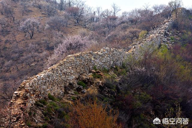 北极沙蟹扑克行:高考后去哪里旅行比较好？