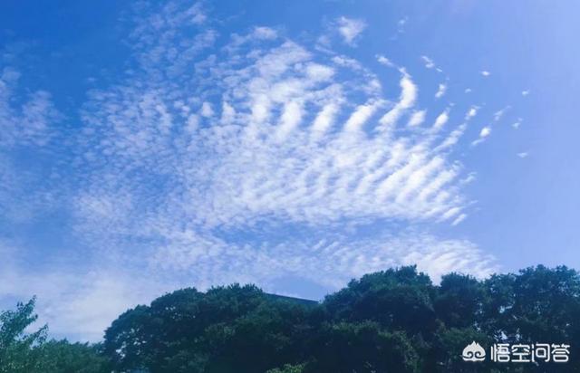 九年级,怎样帮助成绩差的学生？