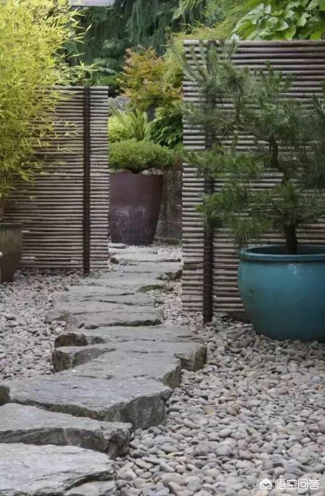 怎么做院子围墙又便宜又好看？插图49