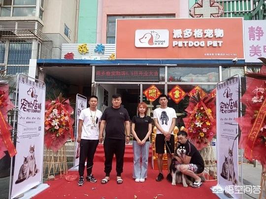 卫塔卡夫猫粮加盟:为什么这么多的投资者会选择加盟派多格呢？ 卫塔卡夫猫零食