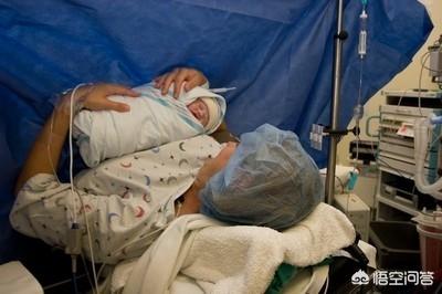 男子活剖孕狗拍视频无删减:大狗死了怀孕52天的小狗剖腹产能活吗？