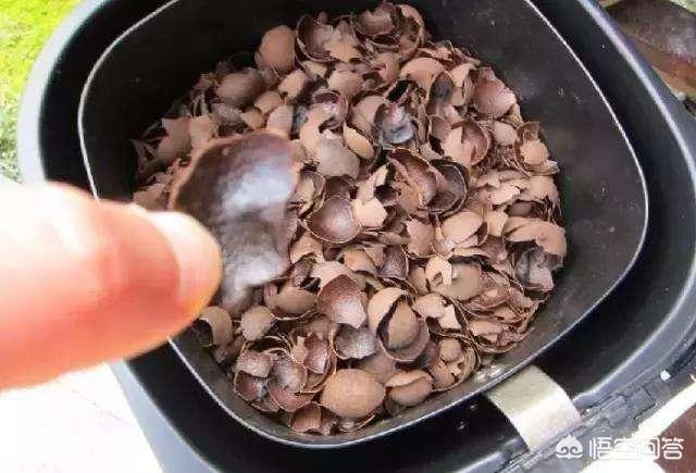 花土里加火山石:花盆有点深底下垫什么好呢？