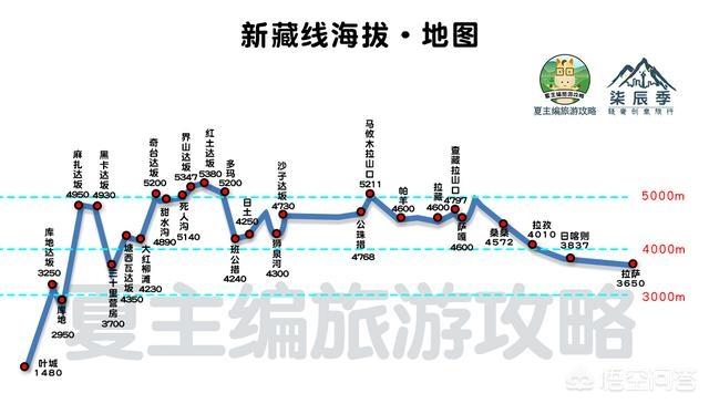 西里汉梗的养护常识:西里汉梗 露养地栽的多肉如何过冬？