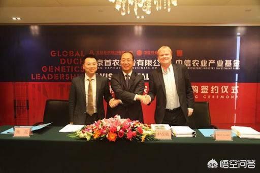海蓝兽:海蓝兽多少钱一只 历史上有哪些颜值逆天的文物？