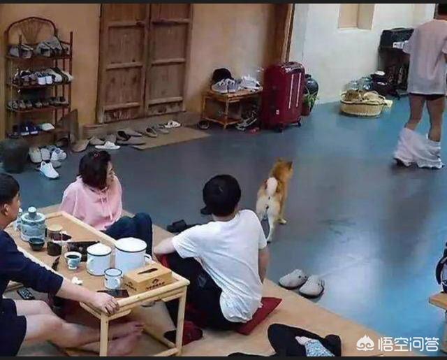 佟亚丽:你见过哪些明星们的尴尬瞬间，看一次笑一次