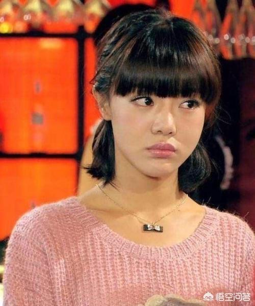 爱情公寓主演资料:《爱情公寓》系列的电视剧，你最喜欢哪位男演员？