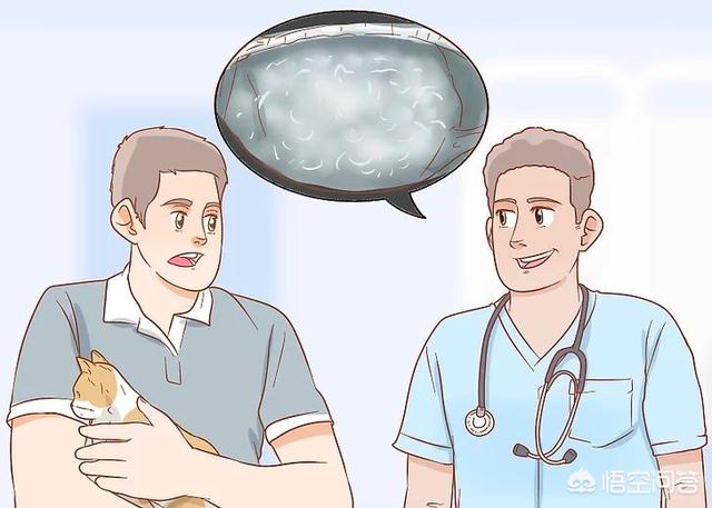 怎么判断猫有没有怀孕,怎么知道猫咪是不是有孩子了？