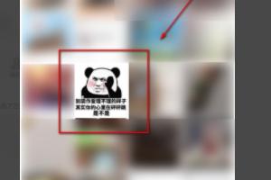 怎么知道微信表情图的意思