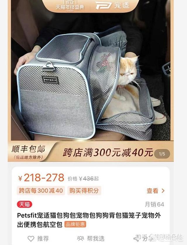 瑞典一只猫咪被当公主养:养猫的人一个月的开销是多少？