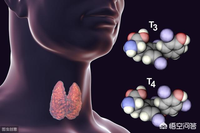 幼儿时期甲状腺机能低下可导致:甲状腺能影响宝宝语言发育迟缓吗？