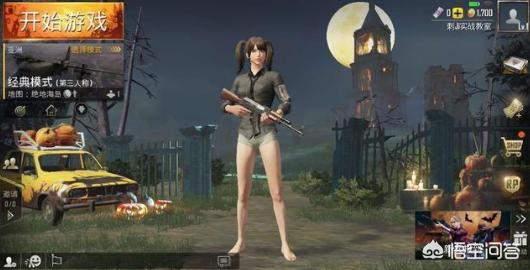 抛开外挂因素的话和平精英和pubg国际服哪个难一点