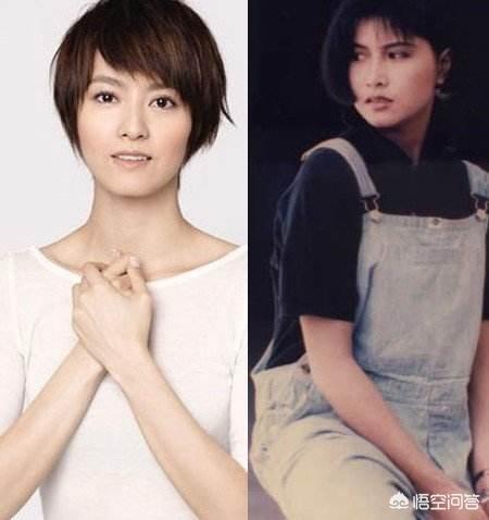 潘粤明天天向上:潘粤明和董洁还能和好吗？
