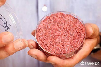 你对美国人造肉有什么看法