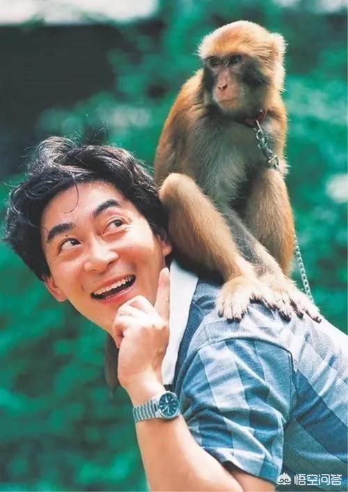 黄渤简介:黄渤是怎么得到影帝称号的？