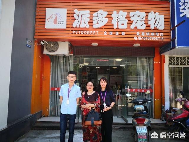 如何开宠物用品店:开宠物用品店有哪些技巧呢？