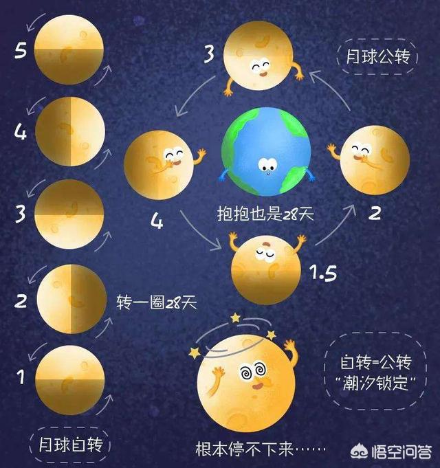 不可思议的月球，月球的存在对人类有什么意义