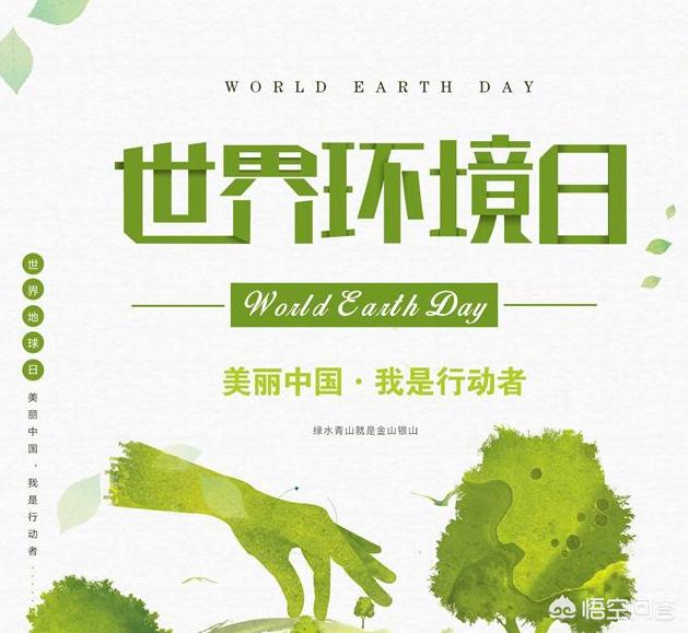 地球透支日:你还知道哪些与保护地球有关的日子