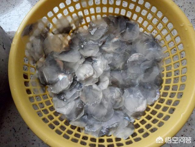 长吻鮠可以吃吗:有人说无鳞鱼少吃，有啥科学依据？
