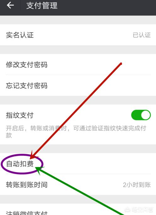 微信支付怎么取消拼多多订单免密支付