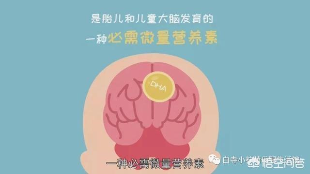 藻复康宝宝能吃吗:婴幼儿补DHA，提高智力吗？