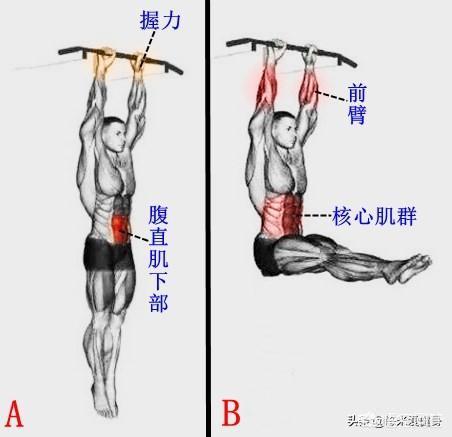头条问答 悬垂举腿的好处有哪些 如何从零开始掌握悬垂举腿 个回答