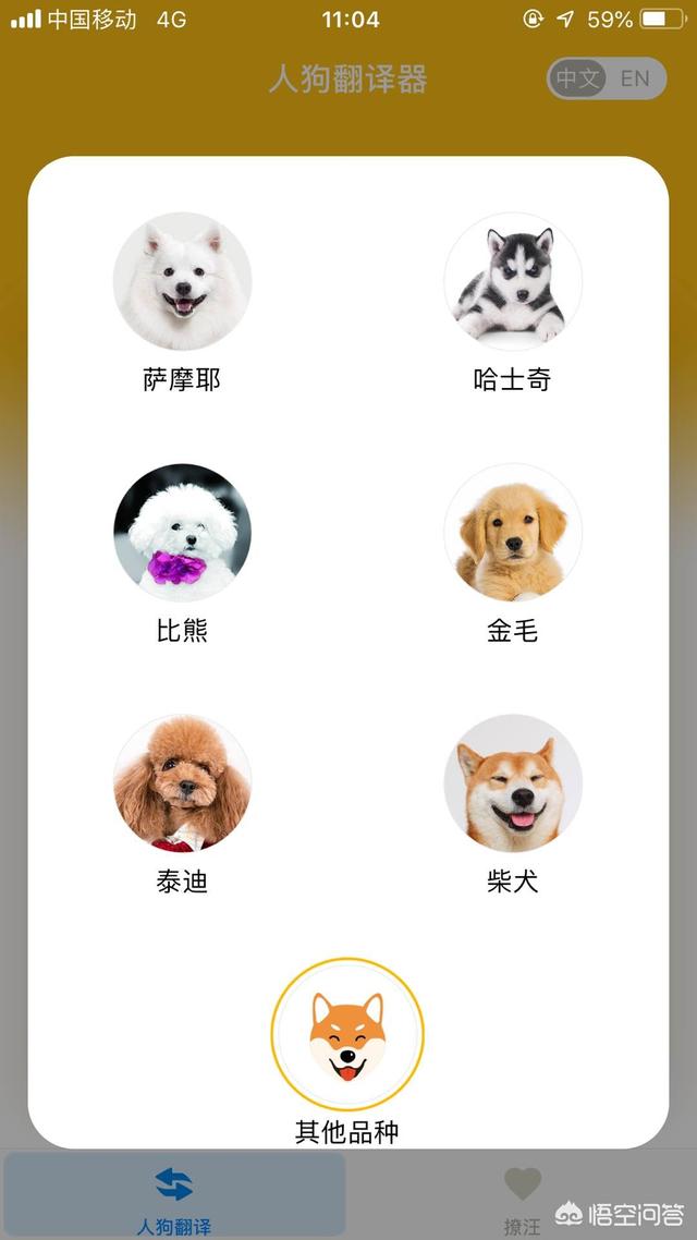 你是喵星人还是汪星人是什么意思:猫咪语言翻译器是真的吗？