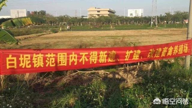 湖北红腹锦鸡养殖基地:在农用地上搭建养殖棚，属于违法建筑吗？该怎么处理？