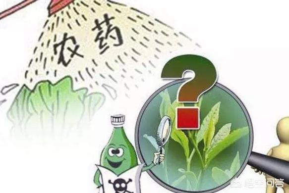 安溪铁观音近年来市场不好了,为何呢？有没有方法呢？