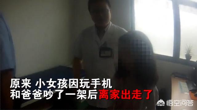 离家的猫儿子:离家23年的儿子 为什么有的猫咪在长大后会选择离家出走？